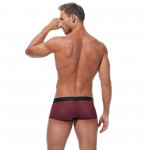 Boxer Torridz